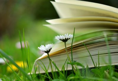 De cómo el “El club de los poetas muertos” nos enseñó a enseñar literatura