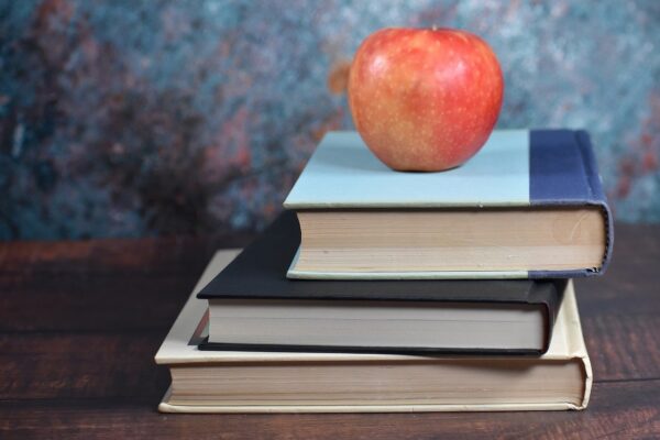 Sobre la obligación que tiene el profesorado de formarse