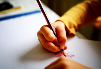 Volver a confiar: la escuela pública como proyecto de país